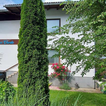Appartements Das Charlie Ebensee Eksteriør billede